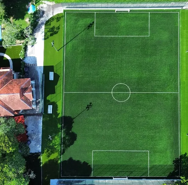 The Georgetown pitch seen straight down from above in daylight, both penalty areas and the centre circle marked out on the turf