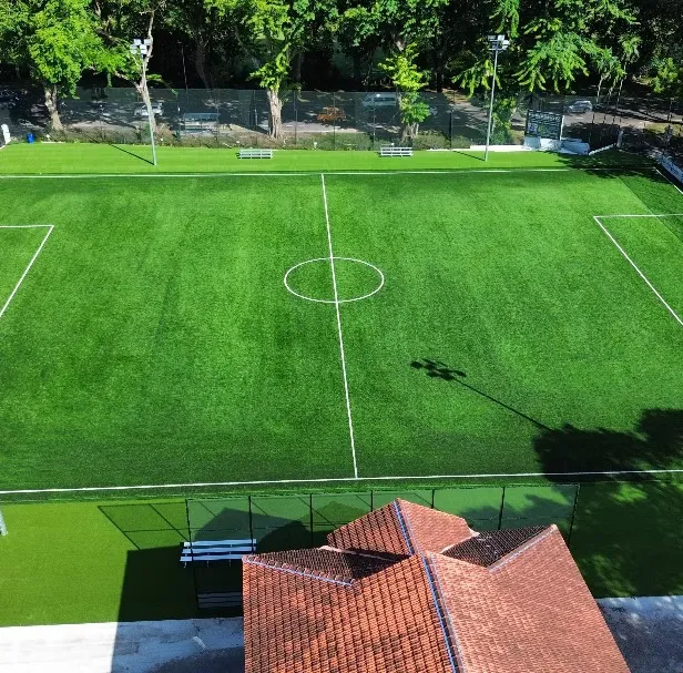 The Georgetown pitch from above one end, showing the halfway line and centre circle with the tree-lined perimeter fence beyond